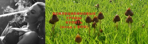 MESCALINE Покачи