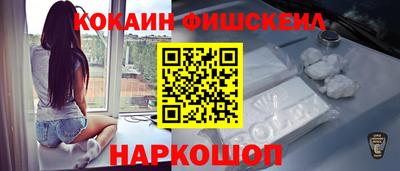 шишки Камышлов