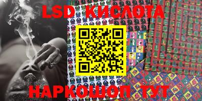 шишки Камышлов