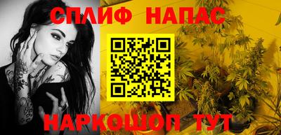 шишки Камышлов