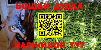 шишки Камышлов