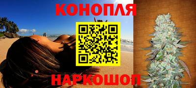 шишки Камышлов